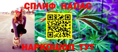 ПСИЛОЦИБИНОВЫЕ ГРИБЫ Славянск-на-Кубани