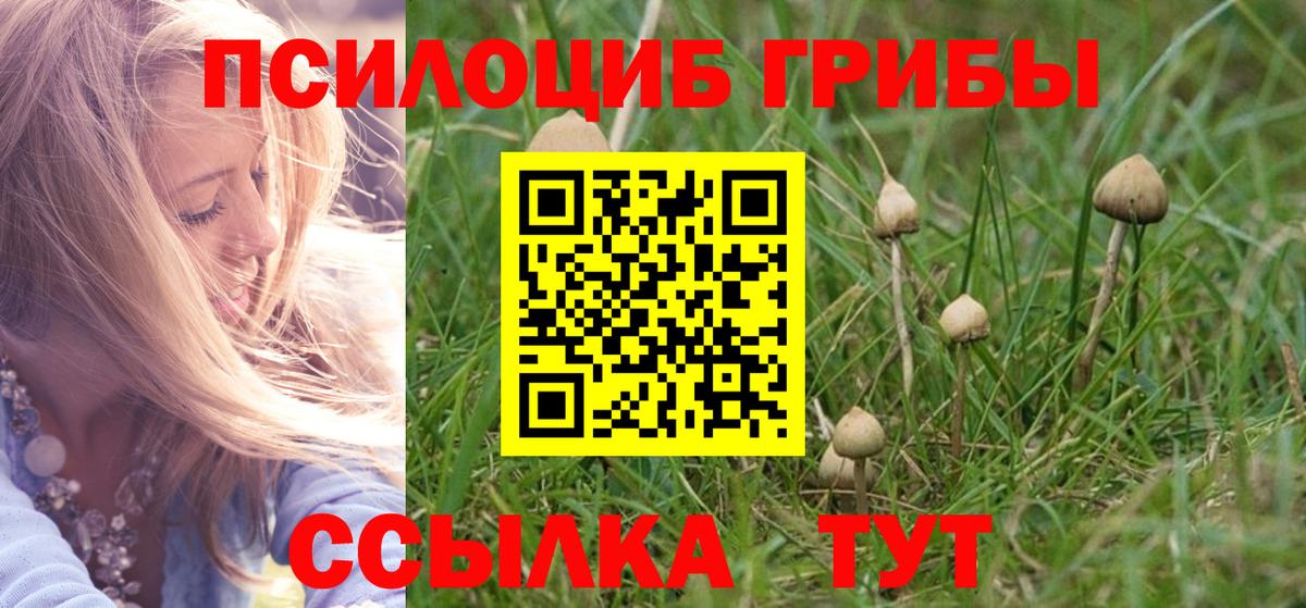 Алушта  Галлюциногенные грибы мухоморы  Вход с VPN 